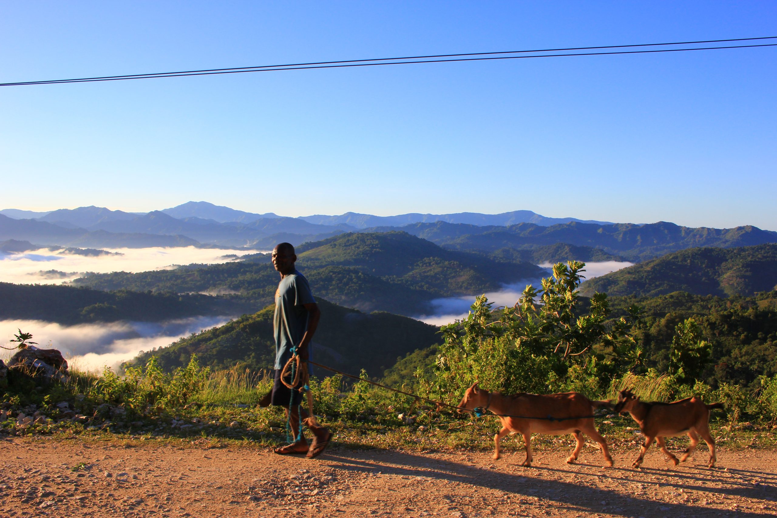 Read more about the article Grand’Anse, Haiti, farmer and goats (2014)
